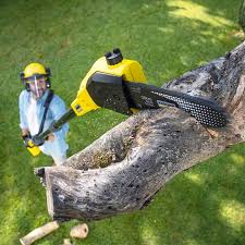  Waukesha, WI Tree Services Pros